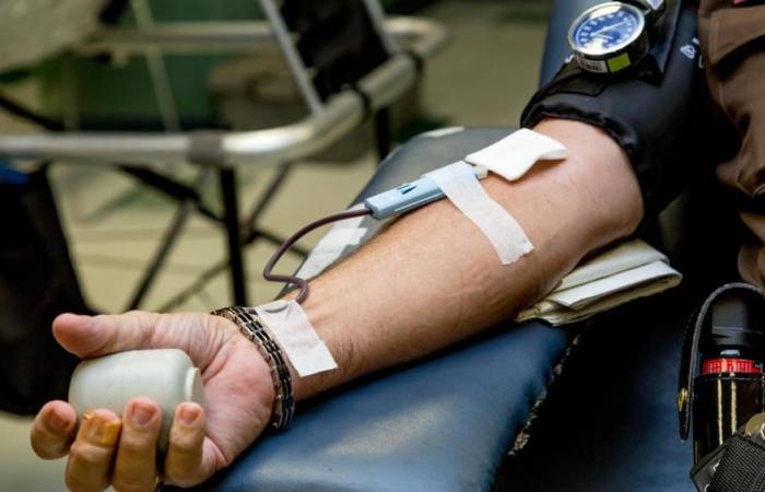 Appeal for blood, plasma and platelet donations, the groups with the greatest shortage