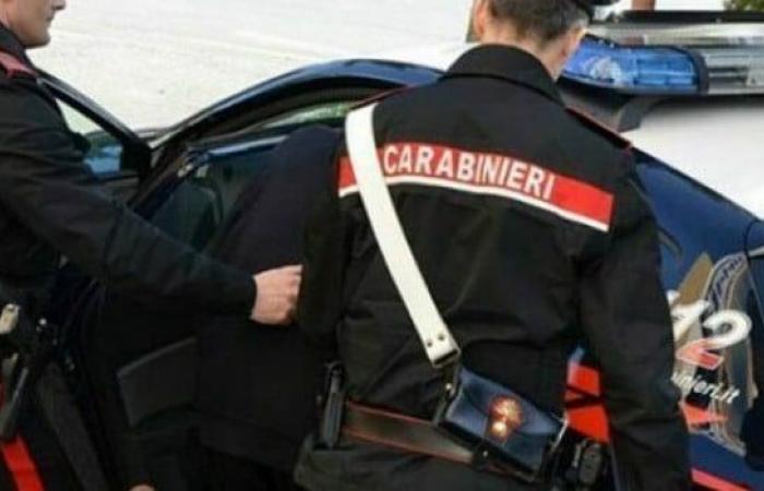 Steals medicines from pharmaceutical warehouse: arrested by Ravenna Carabinieri