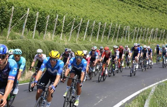 The Tour de France in Langa, a yellow paradise for cyclists from all over the world