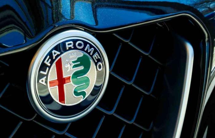 Alfa Romeo, a new Giulia variant is coming? The shapes are dreamy (VIDEO)