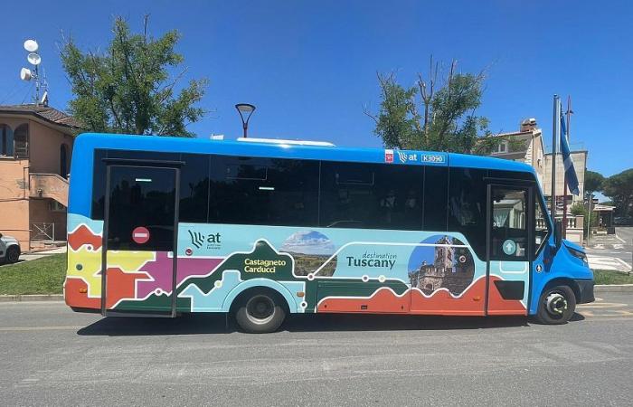 Buses in summer to promote sustainability