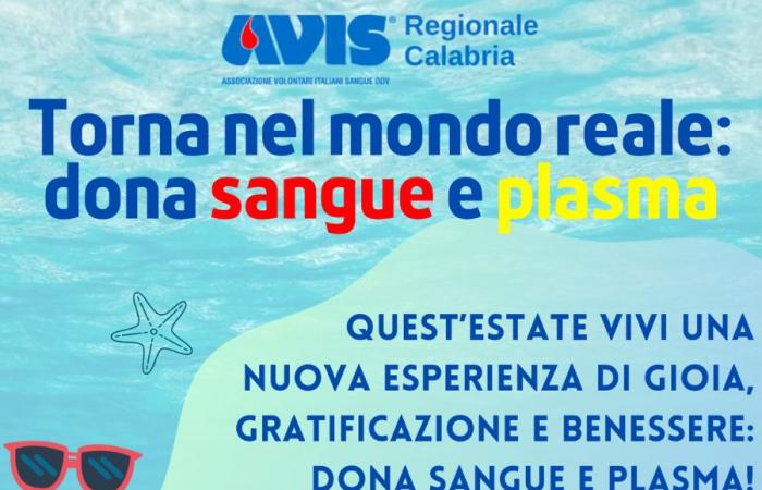 Summer 2024, the Avis Regionale Calabria campaign kicks off