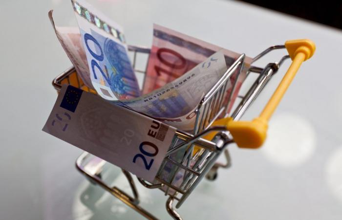 Istat: purchasing power in Italy is growing