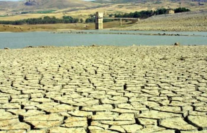 Little water and drought, Basilicata will ask for a state of emergency
