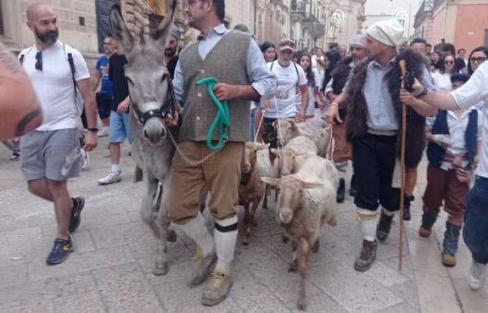 Matera, the shepherds’ procession opens the Bruna Festival – News