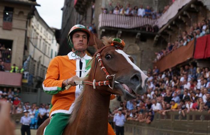 The ten horses in the race are Sardinian La Nuova Sardegna