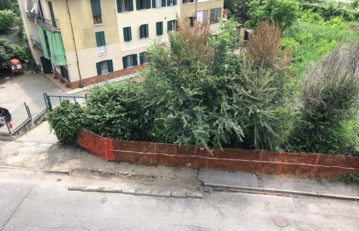 “This leaves the sidewalk in inadequate condition” – Torino Oggi