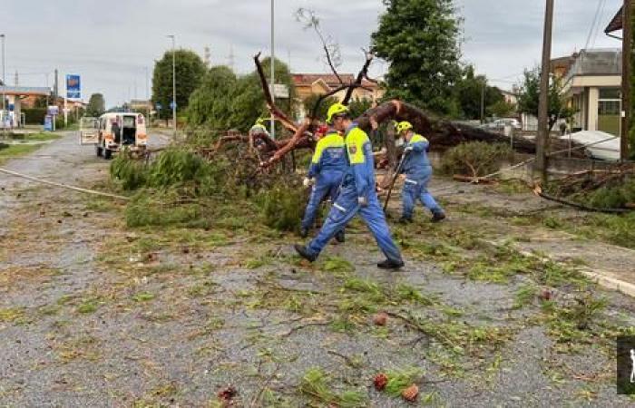 Bad weather: damage also in Friuli-Venezia Giulia