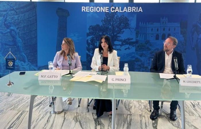 6 million euros from the Calabria Region