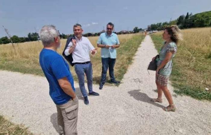 forestation intervention, the Mayor checks the state of the area –