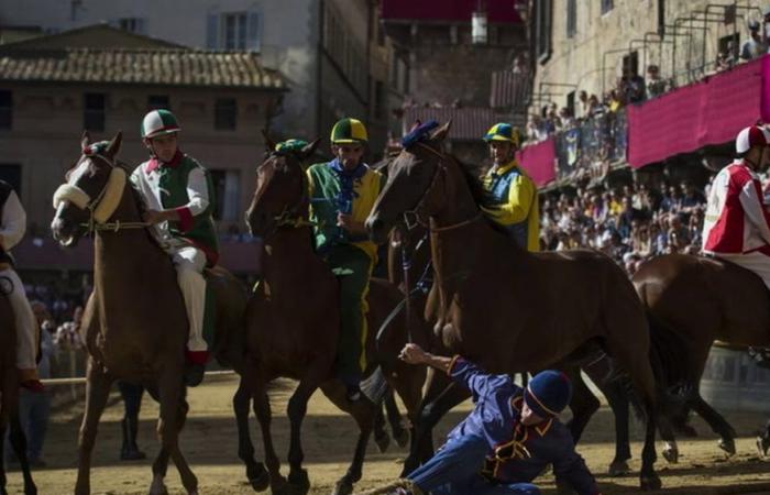 Palio di Siena 2024, where to watch it on TV and at what time it will be broadcast live