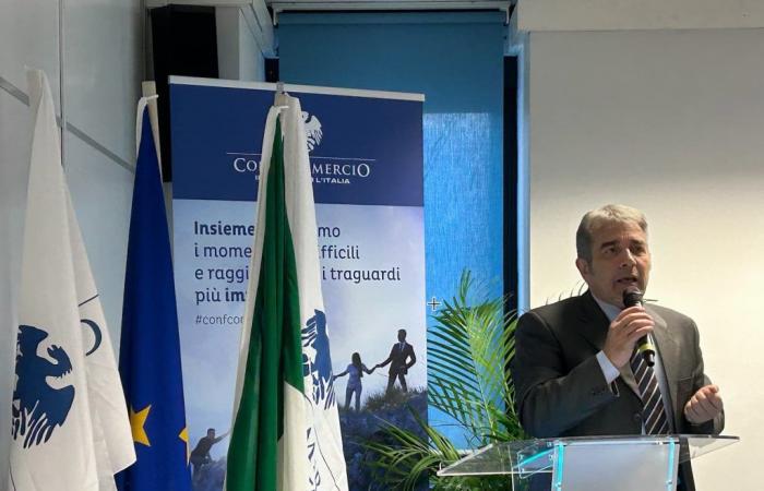 Confcommercio Savona, new opportunities: tenders and photovoltaic