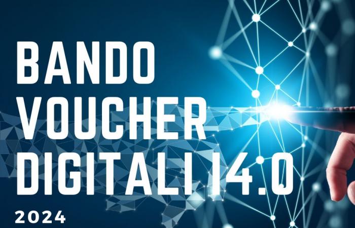 Call for digital vouchers I4.0 – 2024