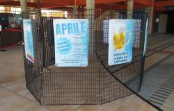An information point and an exhibition at the Massaia hospital on the occasion of Alcohol Prevention Day