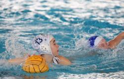 Water polo / Aurora Piermartini (Team Marche Moie) called up to the national Under 16 team