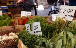 Inflation starts again, prices remain below average in the Marche region