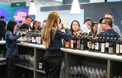Coldiretti Piemonte – Wine: Vinitaly closes with a + sign for exports