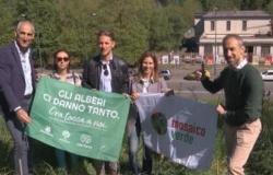 urban forestation, 750 new plants in the Parella district of Turin