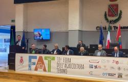 PHOTOS and VIDEOS | 33rd Teramo Agricultural Fair, record year: increase in area for next year – ekuonews.it
