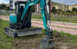 Crotone, the redevelopment of Via Peppino Impastato begins: New trees for a greener city” Article:
