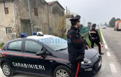 Maxi checks by the Rovigo Carabinieri, massacre of driving licenses and a barrage of complaints