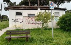 «Marina di Carrara, all public bathrooms closed. Open at least one”