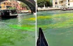What do we know about the Grand Canal of Venice which today was colored green and red