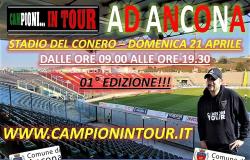 Champions on tour in Ancona: the 1st edition on Sunday 21 April 2024 at the Conero Stadium