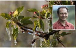 between late frosts and snow. The expert’s predictions