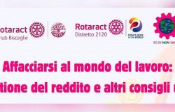Rotaract Bisceglie organizes training evenings to take the first steps in the world of work