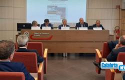 Reclamation of the Sin of Crotone, the Chamber of Commerce’s commitment to the development of the territory