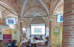 The “Food is health” protocol signed, Coldiretti Ravenna and ASL Romagna together to promote healthy lifestyles