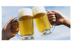 Guide to Italian beers 2025, the presentation of the ninth edition starts from Brescia