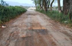 Velletri – “Disastrous road situation in Colle Rosso”: the PSI’s complaint