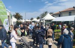 The Florviva flower exhibition kicks off today in Pescara – Piazza Rossetti