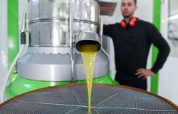 Olivitaly Med, from May 4th 3 days to celebrate extra virgin olive oil