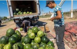Cosenza. Those trucks full of watermelons that we unloaded for five thousand lire (by Franco Panno)