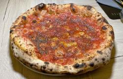 Where to eat the 10 best Marinara pizzas in Caserta and its province