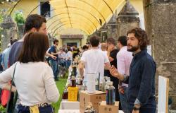 at the Versiliana the two days dedicated to the Tuscan masters of liquor and distillation