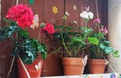 In Bitonto fifteen streets take part in the “My street in bloom” competition