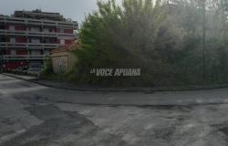 «Marina di Carrara, rats and shrubs in the middle of houses and buildings: clean up that abandoned land»