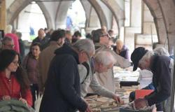 Book reuse market in via Suffragio: picturesque, but the system needs to be changed – Trento