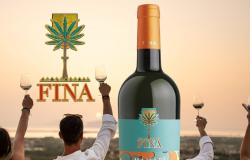 Cantine Fina’s Sauvignon Blanc “Mamarì” wins the gold medal at the Concours Mondial in Brussels