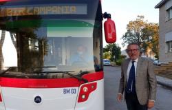 Air Campania, Anthony Acconcia reconfirmed as sole director of the transport company