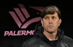 Palermo, Mignani: “Real points up for grabs with SudTirol. Comebacks suffered? A head problem”