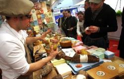 From truffles to olives, the Marche excellences on display at Cibus