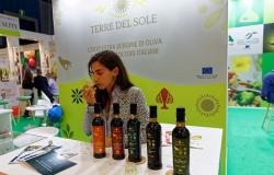 The relaunch of denomination of origin olive oil in the hands of olive growers and millers