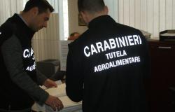 Fraud against the EU, assets worth 400 thousand euros seized in the province of Messina – Gazzetta Jonica