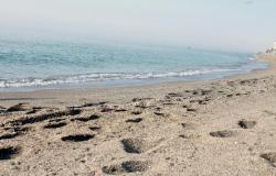 Smoke-free beaches: the guidelines of the Puglia Region for summer 2024