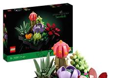 Gift for mum: LEGO Icons Succulent Plants at a super price to celebrate her in the best way!